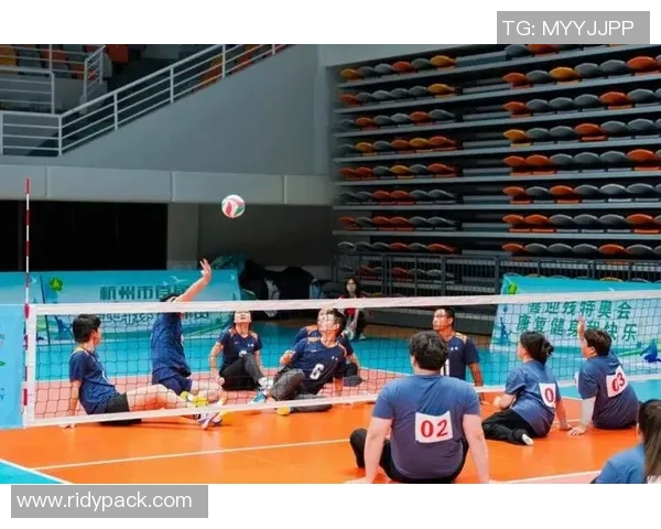 杭州排球队逆袭之路的真实记录与背后故事揭秘