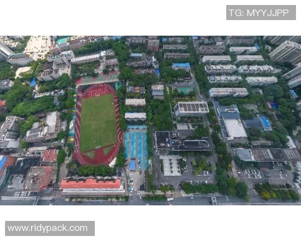 武汉网球队战术分析与表现评估全景解读 武汉网球队战术分析与表现评估全景解读