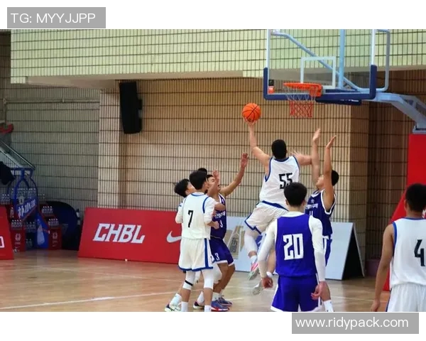 重庆篮球队在精英赛中的强势表现与未来发展潜力分析