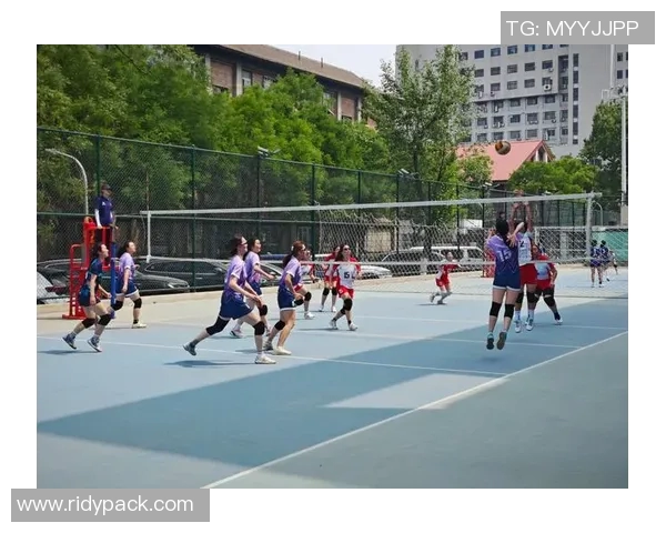 上海排球队的默契配合与战术探讨：聚焦排球的团队精神与协作技巧