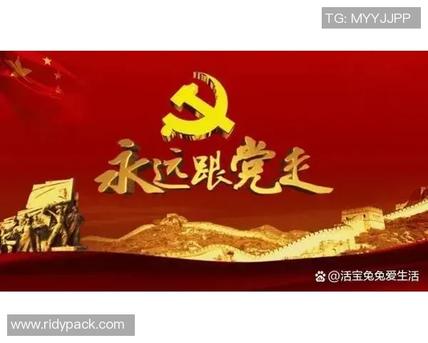 广州排球队逆袭之路揭秘:从低谷到大满贯的辉煌征程 广州排球队逆袭之路揭秘:从低谷到大满贯的辉煌征程