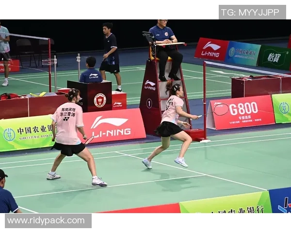 武汉羽毛球队在全国锦标赛中的拼搏历程与荣耀时刻回顾